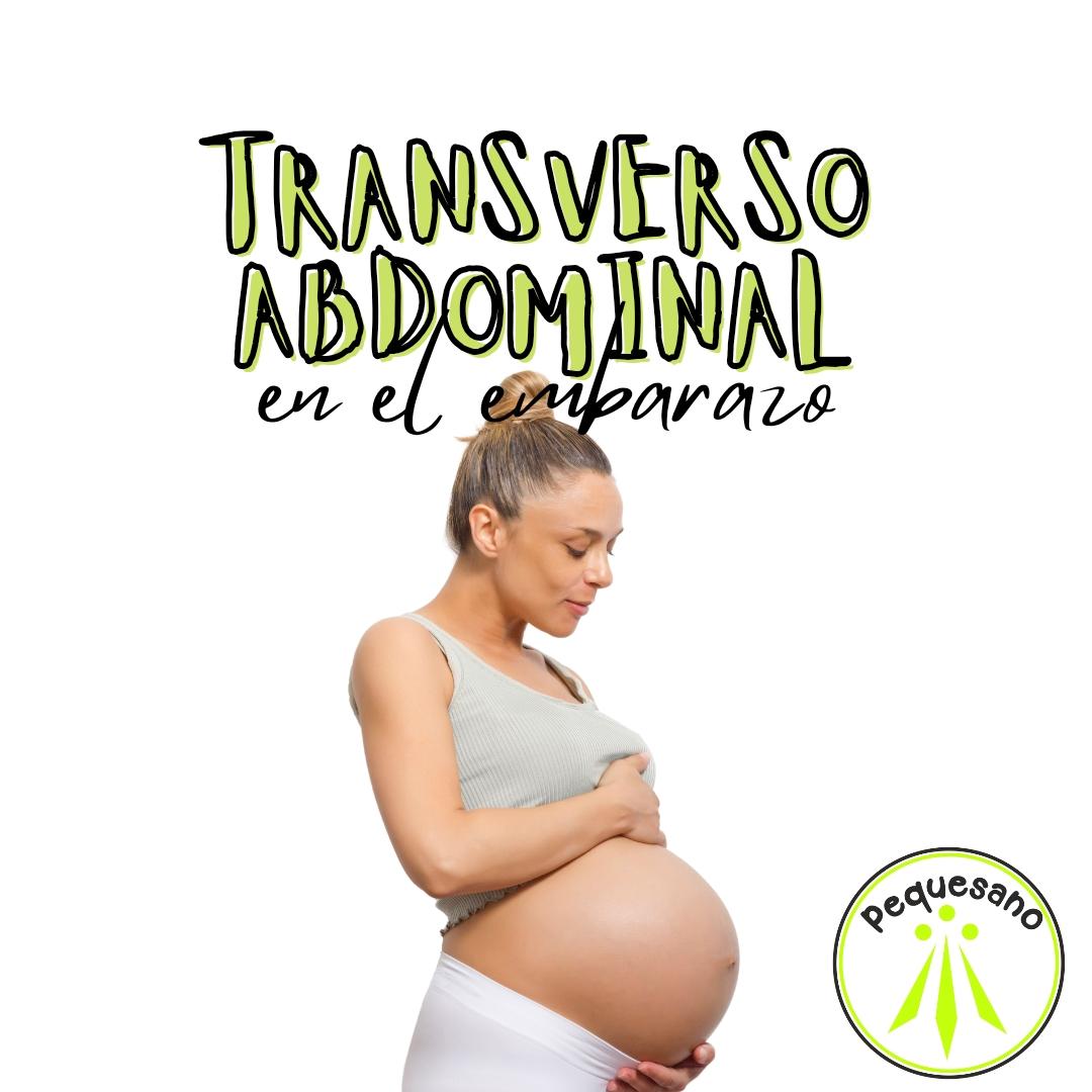 El Músculo Transverso Abdominal Durante El Embarazo 9462